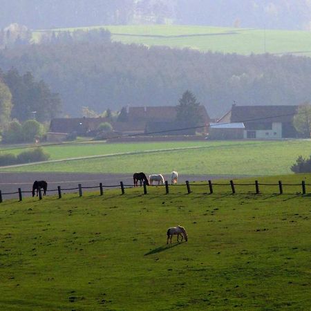 Апартаменты Haus Hollerbusch Нойнбург-форм-Вальд Экстерьер фото